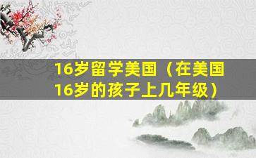 16岁留学美国（在美国16岁的孩子上几年级）