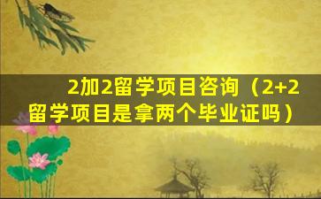2加2留学项目咨询（2+2留学项目是拿两个毕业证吗）