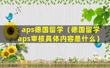 aps德国留学（德国留学aps审核具体内容是什么）