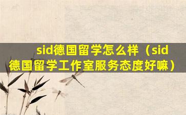sid德国留学怎么样（sid德国留学工作室服务态度好嘛）