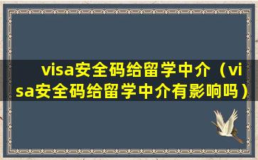 visa安全码给留学中介（visa安全码给留学中介有影响吗）