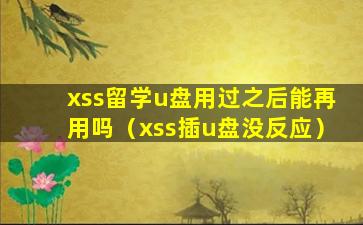 xss留学u盘用过之后能再用吗（xss插u盘没反应）