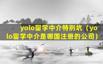 yolo留学中介特别坑（yolo留学中介是哪国注册的公司）