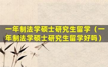 一年制法学硕士研究生留学（一年制法学硕士研究生留学好吗）