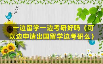一边留学一边考研好吗（可以边申请出国留学边考研么）