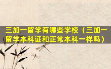 三加一留学有哪些学校（三加一留学本科证和正常本科一样吗）