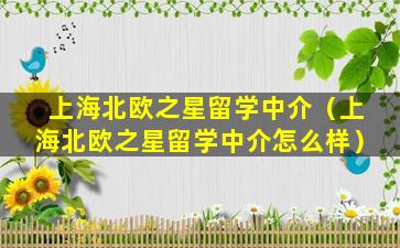 上海北欧之星留学中介（上海北欧之星留学中介怎么样）