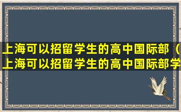 上海可以招留学生的高中国际部（上海可以招留学生的高中国际部学生吗）
