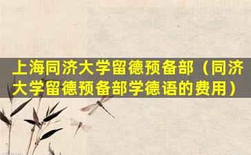 上海同济大学留德预备部（同济大学留德预备部学德语的费用）