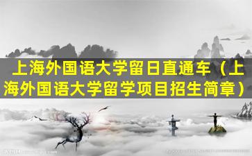 上海外国语大学留日直通车（上海外国语大学留学项目招生简章）