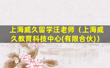 上海威久留学汪老师（上海威久教育科技中心(有限合伙)）