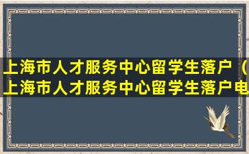 上海市人才服务中心留学生落户（上海市人才服务中心留学生落户电话）