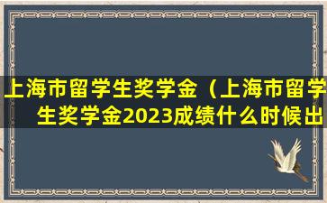 上海市留学生奖学金（上海市留学生奖学金2023成绩什么时候出来了）