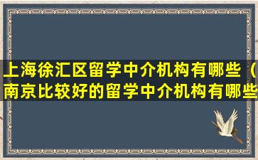 上海徐汇区留学中介机构有哪些（南京比较好的留学中介机构有哪些）