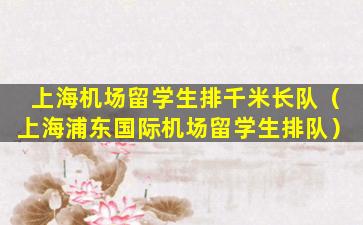 上海机场留学生排千米长队（上海浦东国际机场留学生排队）