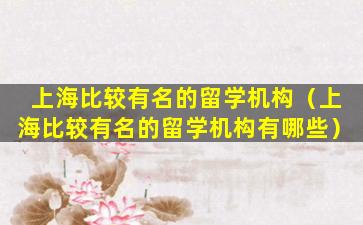 上海比较有名的留学机构（上海比较有名的留学机构有哪些）