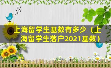 上海留学生基数有多少（上海留学生落户2021基数）
