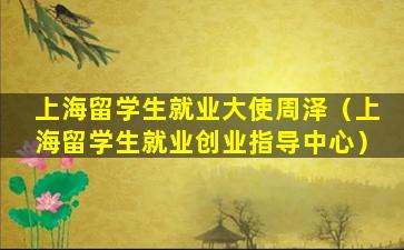 上海留学生就业大使周泽（上海留学生就业创业指导中心）