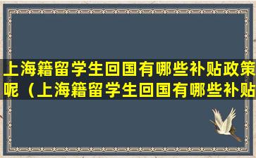 上海籍留学生回国有哪些补贴政策呢（上海籍留学生回国有哪些补贴政策呢怎么申请）