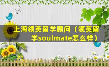 上海领英留学顾问（领英留学soulmate怎么样）