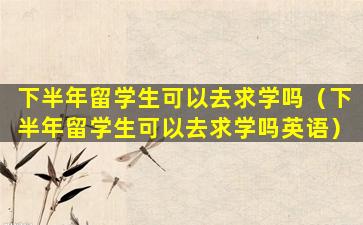 下半年留学生可以去求学吗（下半年留学生可以去求学吗英语）