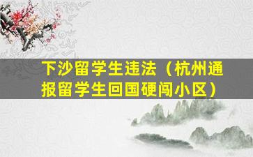 下沙留学生违法（杭州通报留学生回国硬闯小区）