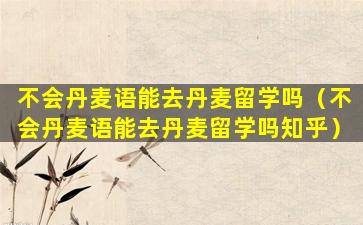 不会丹麦语能去丹麦留学吗（不会丹麦语能去丹麦留学吗知乎）