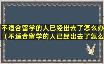 不适合留学的人已经出去了怎么办（不适合留学的人已经出去了怎么办呀）