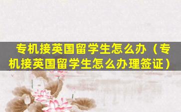 专机接英国留学生怎么办（专机接英国留学生怎么办理签证）