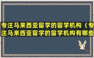 专注马来西亚留学的留学机构（专注马来西亚留学的留学机构有哪些）