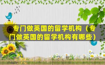 专门做英国的留学机构（专门做英国的留学机构有哪些）