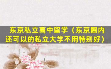东京私立高中留学（东京圈内还可以的私立大学不用特别好）