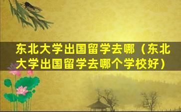 东北大学出国留学去哪（东北大学出国留学去哪个学校好）
