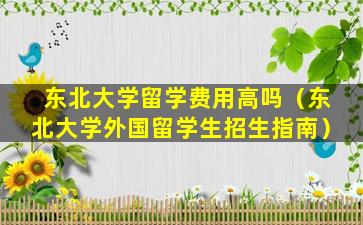 东北大学留学费用高吗（东北大学外国留学生招生指南）