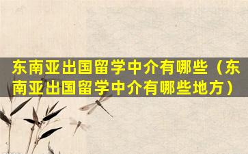 东南亚出国留学中介有哪些（东南亚出国留学中介有哪些地方）