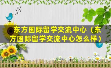 东方国际留学交流中心（东方国际留学交流中心怎么样）