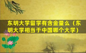 东明大学留学有含金量么（东明大学相当于中国哪个大学）