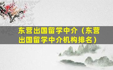 东营出国留学中介（东营出国留学中介机构排名）