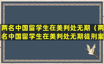 两名中国留学生在美判处无期（两名中国留学生在美判处无期徒刑案例）