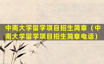 中南大学留学项目招生简章（中南大学留学项目招生简章电话）