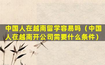 中国人在越南留学容易吗（中国人在越南开公司需要什么条件）