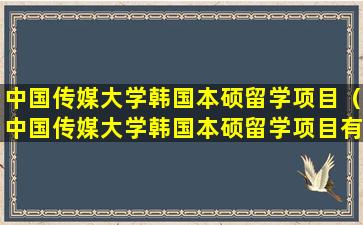 中国传媒大学韩国本硕留学项目（中国传媒大学韩国本硕留学项目有哪些）