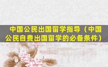 中国公民出国留学指导（中国公民自费出国留学的必备条件）