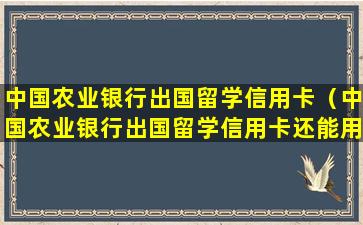 中国农业银行出国留学信用卡（中国农业银行出国留学信用卡还能用吗）