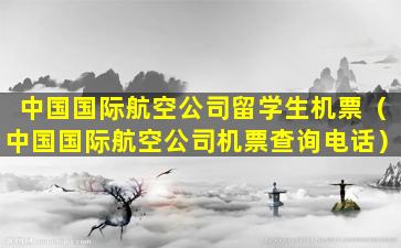 中国国际航空公司留学生机票（中国国际航空公司机票查询电话）