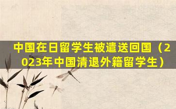 中国在日留学生被遣送回国（2023年中国清退外籍留学生）