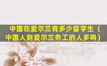 中国在爱尔兰有多少留学生（中国人到爱尔兰务工的人多吗）