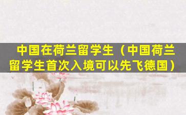 中国在荷兰留学生（中国荷兰留学生首次入境可以先飞德国）