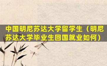 中国明尼苏达大学留学生（明尼苏达大学毕业生回国就业如何）