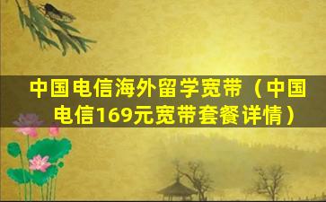 中国电信海外留学宽带（中国电信169元宽带套餐详情）